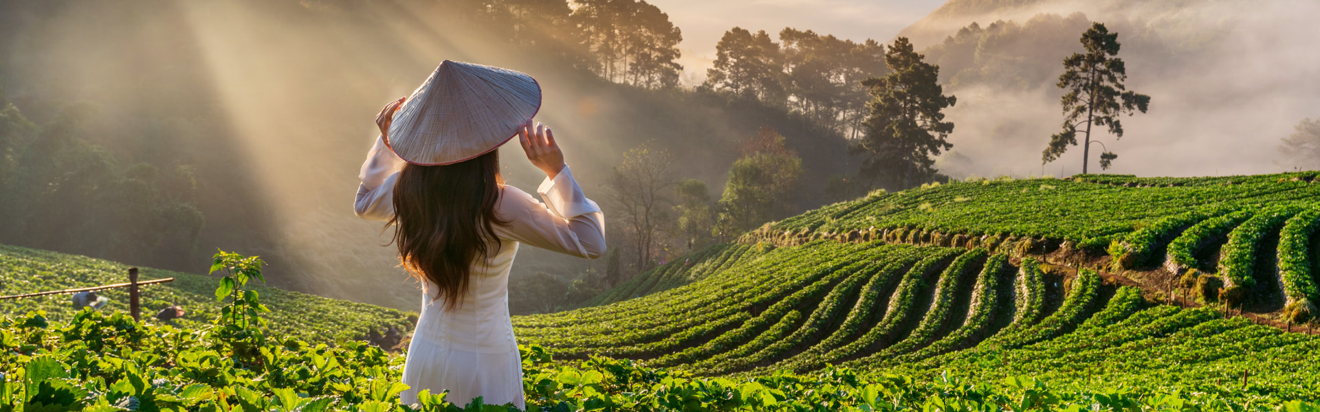 Séjour Tout Compris au Vietnam : Guide complet pour vos vacances